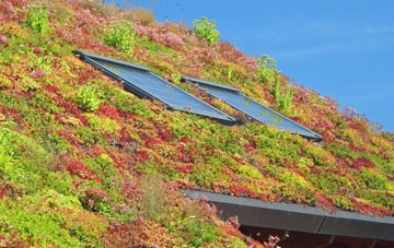 Broughton Common living roof systems