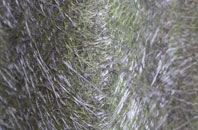 Broughton Common fibreglass roof work